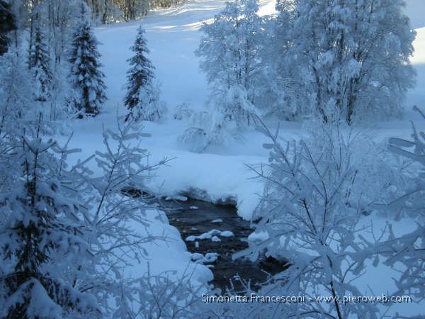 RUSCELLO INNEVATO.jpg